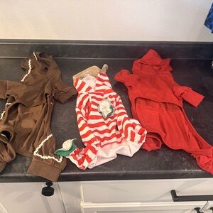 Festive Pet Clothes/ Costumes Set